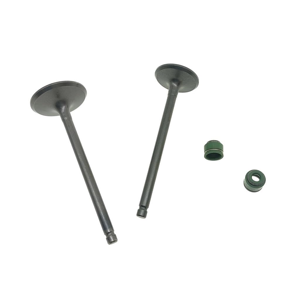 Joint d'huile de tige pour Suzuki DR200 et GS200 étanchéité moteur 200cc