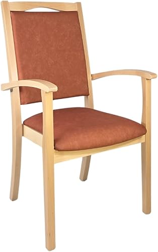 Erides Alexander Hochlehner Seniorenstuhl – Ergonomischer Armlehnenstuhl für Sen