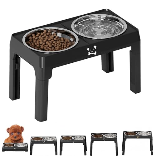 Lifetips eB[Jbvv[h Lp H t[h{EX^h {E  ܂肽 pT|[g Hׂ₷ Hh~ 􂢂₷ ~  i5iK ubNj