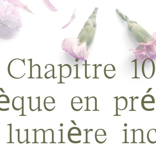 L'&eacute;v&ecirc;que en pr&eacute;sence d'une lumi&egrave;re inconnue (I, 1, 10)