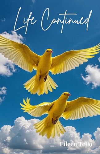 Life Continued: Life, Loved Ones, and the Soul's Journey