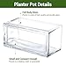 MyGift 7.8 inch Modern Rectangular Glass Vase, Trough Planter, Tabletop Glass Terrarium