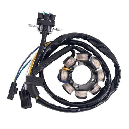 Stator de générateur CRF250X d'allumage stable pour moto 2004-2019