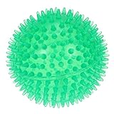 TEHAUX Juguete antiestrés para perros, pelota de rebote alto, juguete indestructible para perros pequeños, medianos y grandes, 10 cm (verde)