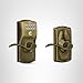 Schlage Camelot Keypad Entry with Flex-Lock and Accent Lever, Antique Brass, FE595 CAM 609 ACC
