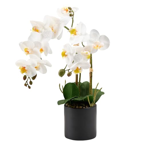 Pmyra 17 Artificial White Phalaenopsis Orchid in Modern Black Ceramic Pot - Realistic Faux Flower Arrangement for Bathroom Bedroom & Dining Table Decor - Low-Maintenance Luxury Home Accent