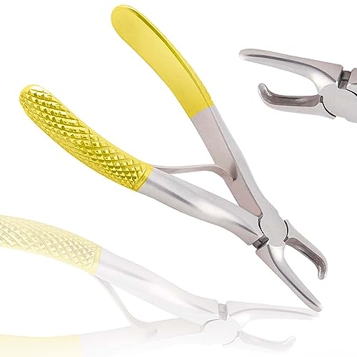 AAProTools Professional Dental Tarter Scraper and Remover Stainless Steel - Dental Instruments - Veterinarian Instruments (Gold Handle)