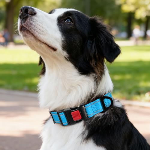 Image of Taglory Reflective Dog Collar for Medium Dogs, Soft and Safe for Daily Walk
