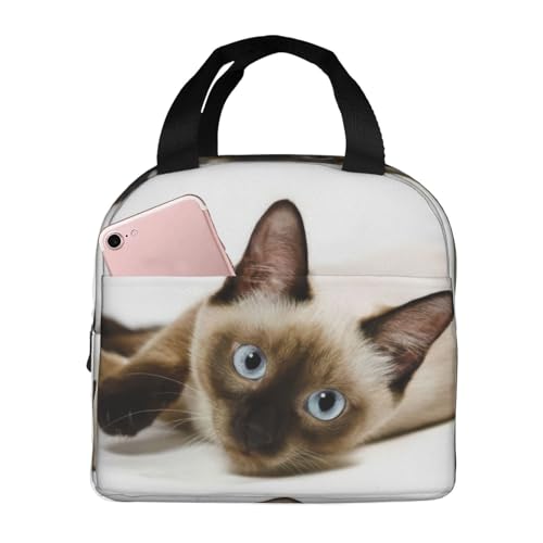 `obO L ۗ ۉ ٓobO  RpNg O|Pbgt ~jg[gobO p肳obO fB[X Y ʋ ʊw s fB[X Y qp