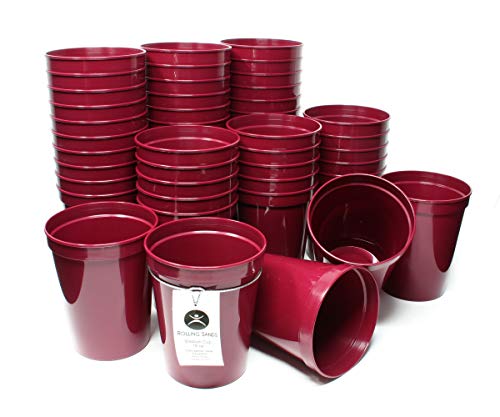 Rolling Sands 16 Ounce Reusable Plastic Stadium Cups Maroon, Bulk 50 Pack, Made in USA, BPA-Free Dishwasher Safe Plastic Tumblers