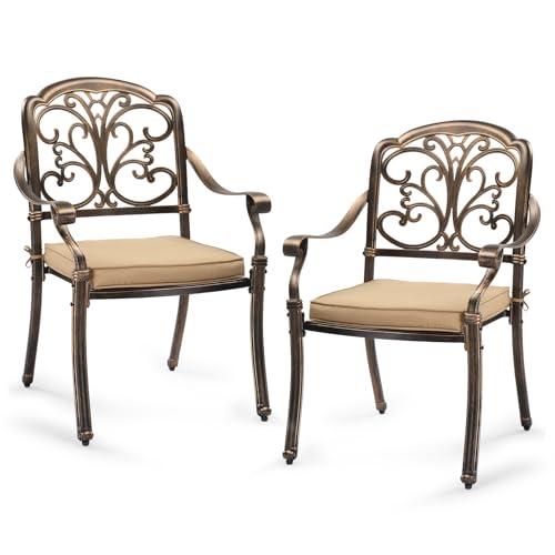 VINGLI Patio Chairs Set of 2 - Stackable Outdoor Cast Aluminum Dining Chairs with Vintage Bronze Finish and Butterfly Pattern, Metal Armchairs for Poolside, Backyard, Balcony (with Cushion)