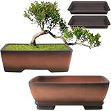 MUZHI 2 Pack Handmade Color Gradational Terracotta Bonsai Pot 5 Inch and 6 Inch with Drip Tray, Breathable Unglazed Rectangle Ceramic Planter for Tree Succulent Cactus
