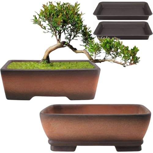 MUZHI 2 Pack Handmade Color Gradational Terracotta Bonsai Pot 5 Inch and 6 Inch with Drip Tray, Breathable Unglazed Rectangle Ceramic Planter for Tree Succulent Cactus