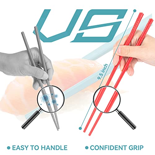 image for LIANGKEN 5 Pairs Dishwasher Safe Fiberglass Chopsticks Set,9.5 Inch Re