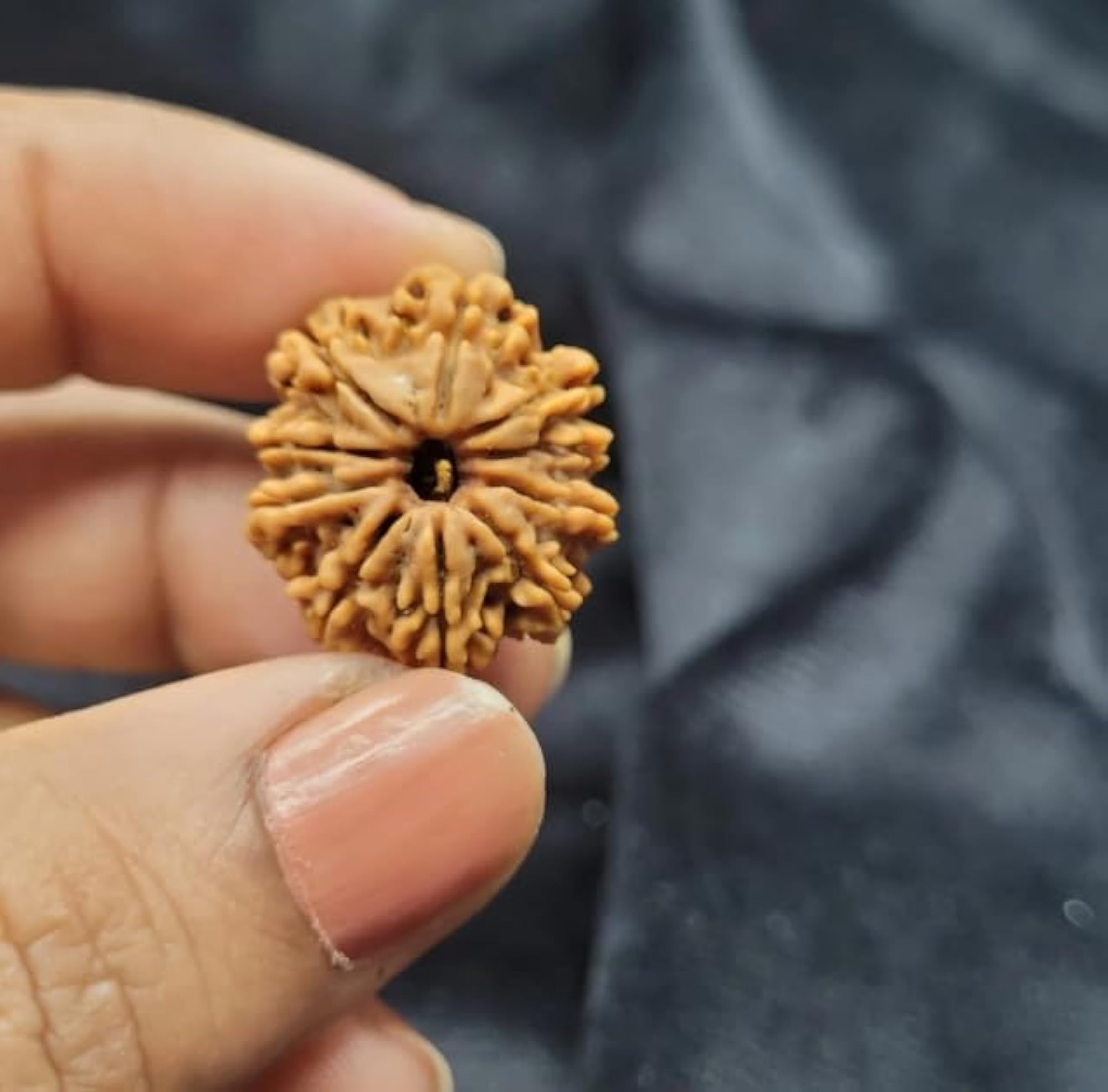 10 Mukhi Rudraksha Mala, Spiritual Beads