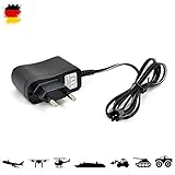 Universal Ladegerät mit SM-2P Anschluss für hohe Kompatibilität