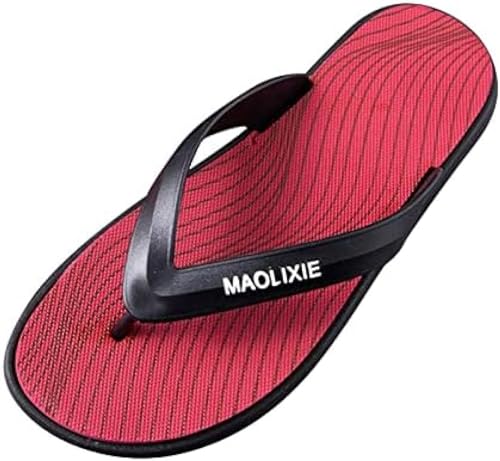 [ZGHQHCDRH] ͂ gOT_ gуXbp Y 傫TCY  ʔNKp É Vv EFbW\[ tH[} wZQ s qp t jp r[`T_