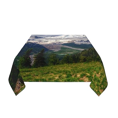 Nappe imperméable et infroissable décorative pour table
