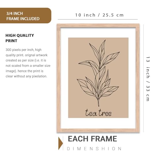 Image of HOTHOUSE Botanical Wall Art Painting |Poster With Frame Wall Decoration Wall Paintings For Home Decor | Frames For Home Decor Office Living Room | Set of 3 (10X13 inch)