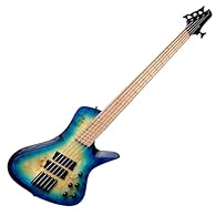 Stunning Aesthetics: The guitar features a Blue Burst Trans Burl Gloss finish, creating a striking and unique appearance with its Poplar Burl top. Fanned Fret Design: The multi-scale length ranges from 34.5" to 36.25" (876.3mm to 927.1mm), providing ...