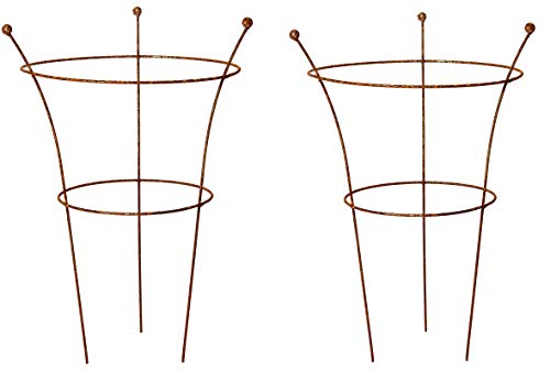 RUDDINGS WOOD Set of 2 x Natural Rust Metal 3 Leg Medium Herbaceous Peony Plants Support Rings (64cm high x 42cm diameter) Garden Rusted Flower Plant Grow Through Cage Frames