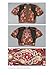 Traditional Palestinian Costume: Origins and Evolution