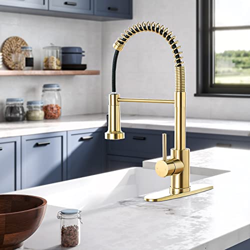 Hgn Brushed Gold Kitchen Faucet With Pull Down Sprayer,Single Handle Gold Kitchen Sink Faucet Stainless Steel Hgn-Cflt-2011G-Dp #TOP3