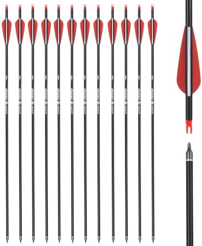Carbon Arrow Hunting Arrows with 100 Grain Removable Tips for Archery Compound & Recurve & Traditional Bow Practice Shooting (Pack of 12)