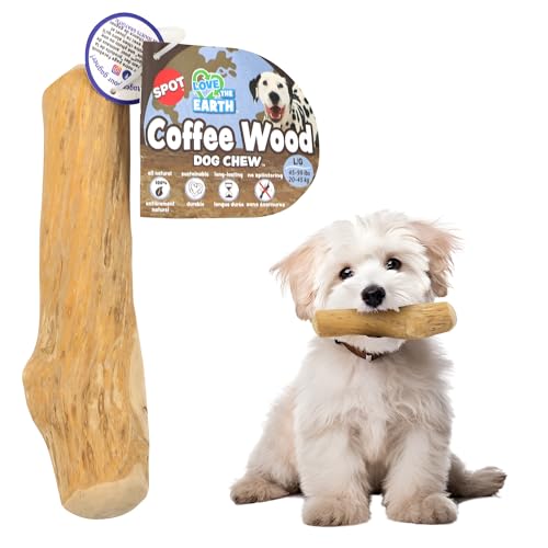 SPOT Coffee Wood Dog Chew Toy –...