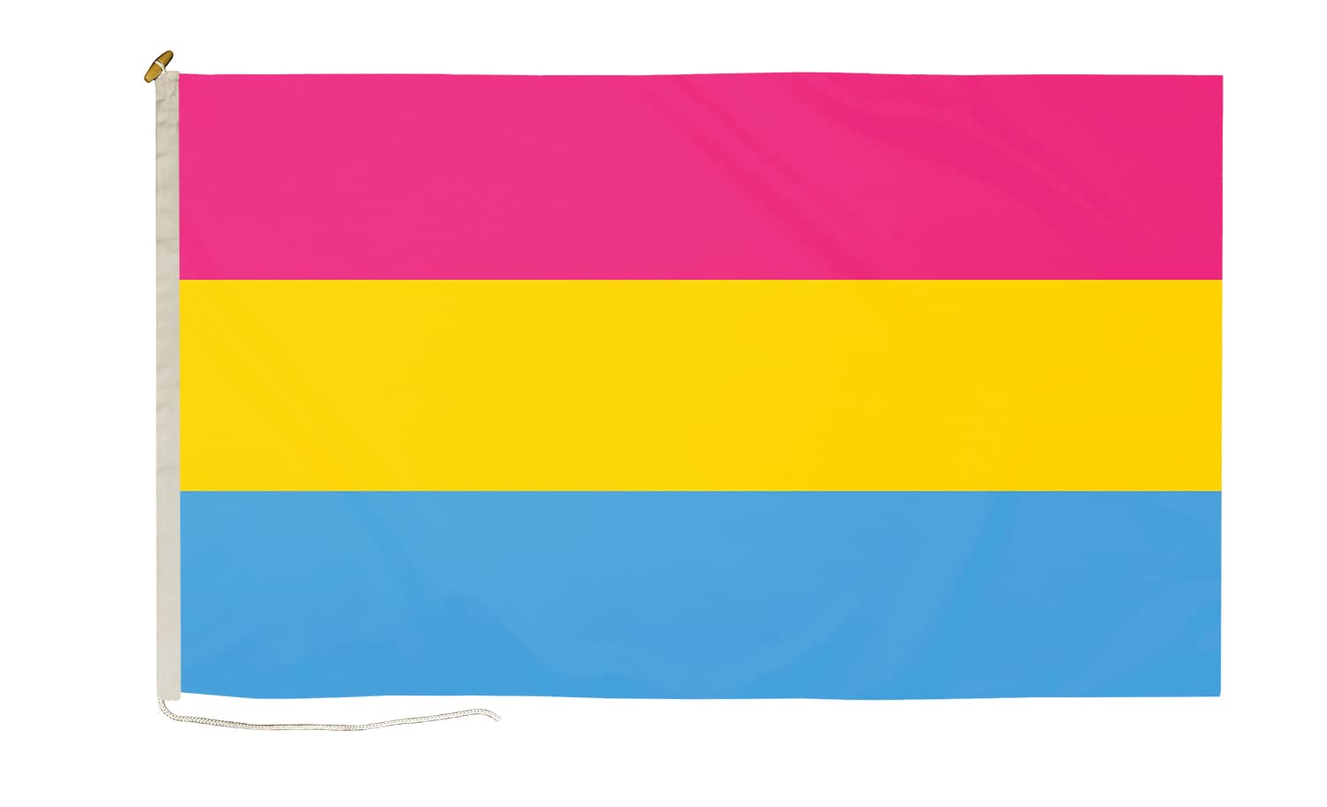 DuraFlag Pansexual Small Courtesy 20x12" Rope and Toggled Premium Quality 50x30cm Flag โ image 1