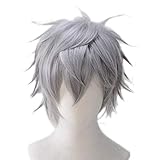 ZSTO Sena Izumi Cosplay Wig,Anime Ensemble Stars Costume for Halloween Short Gray Hair