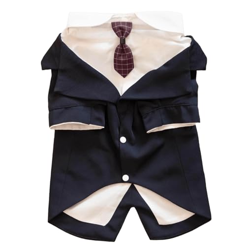 IUOUTG ^̂߂̃^LZhVcAGKgȌ̌p[eB[̈ߑ̃X[c{E^CAa̍Ղ̂߂̐ȃybg̃X[c̃RX`[