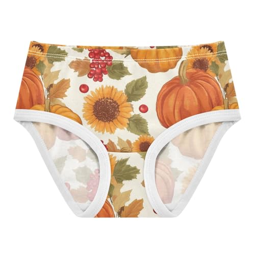 Wusikd Pumpkins Sunflowers Girls' Underwear Cotton Red Berries Girls Briefs Soft Toddler Underwear 2T