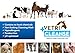 VetriCleanse Pet Itch Relief & Wound Care Spray with Hypochlorous Acid - Skin + Coat Care - Dog & Cat Deodorizer, Eye Cleaner & Ear Cleaner for All Animals - 225ml