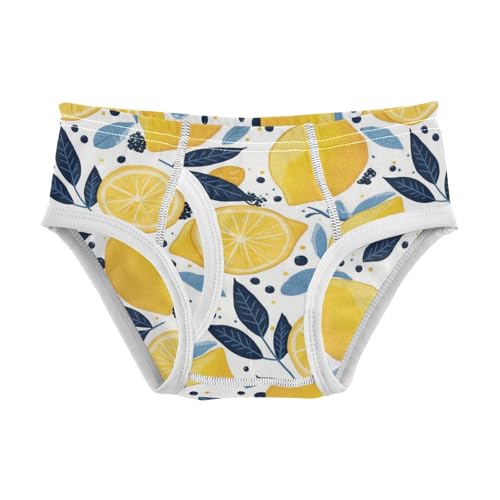 Wusikd Lemons Boys' Underwear Cotton Polka Dot Blue Boys Briefs Soft Toddler Underwear 2T