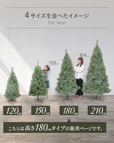 ottostyle.jp クリスマスツリー ヌードツリー Renoel/リノエル 180cm の商品画像 6