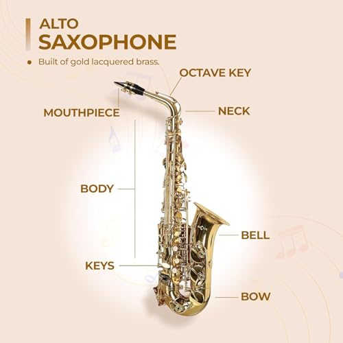 Image of ARCTIC AR SRB-PRO Model Alto Saxophone with Case, Featuring a World-Class Finish And a Professional Setup, Designed for Musicians, Band Performers. Includes Mouthpiece, Reed, and Protective Case.