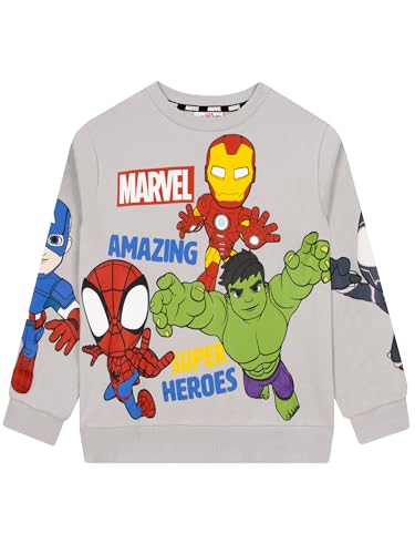 Marvel Spidey And His Amazing Friends Boys Sweatshirt Superhero Boys Clothes Spidey Kids Jumper Grey 4-5 Years