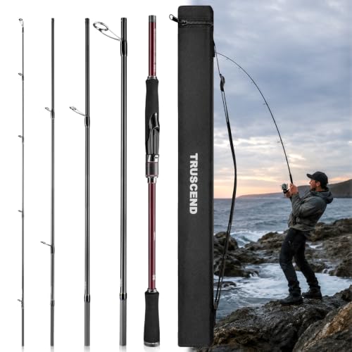 TRUSCEND Aetheron Seabass Cañas de Pescar Multi-Pieza, Caña de Lanzamiento Largo con Carbono Toray y Guías Fuji SIC para Alta Sensibilidad y Resistencia, Protección Anticorrosión, Cañas de Viaje para Agua Dulce y Salada