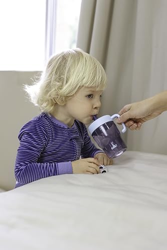 Image of Zak Designs Wheels Capri 10oz Plastic Leak-Proof Toddler Straw Cups, 2-Pack