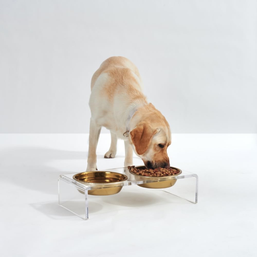 Hiddin Double Elevated Dog Bowl Stand for Small or Medium Dogs, All Breeds, Clear Acrylic 3.5 Inch Raised Dog Bowl Stand with Two Gold Stainless Steel Bowls for Food and Water - 1.5 Cups Each Dish