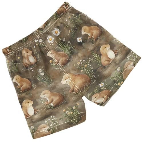 Pigsaly Boys' Swim Board Shorts Watercolor Daisy Flower Cute Brown Sea Otter Boy's Swim Trunks Kids Swimwear S2