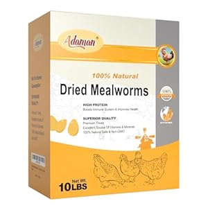 Adaman Dried Mealworms -10 LBS- 100% Natural Non GMO High Protein Mealworms – Bulk Meal Worms for Chickens & Birds, Ducks – Best Chicken Treats, Bird Food, Turtle Food