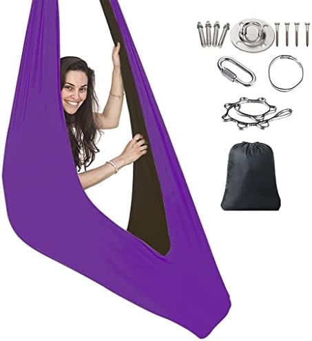 DAPERCI Sensory Swing for Adults Double Layer Indoor Therapy Swing Indoor Sensory Swing Set Therapy Compression Swing That an Egg Chair Or Kids Hammock Chair for ADHD Autism (Color : Purple/Black)