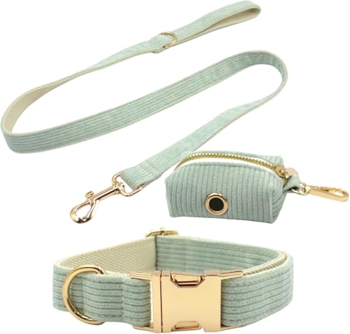 Collier pour chien et laisse avec support sac à crottes vert XL