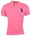 Polo Ralph Lauren Mens Custom Fit Big Pony Mesh Polo Shirt (L, Chroma Pink)
