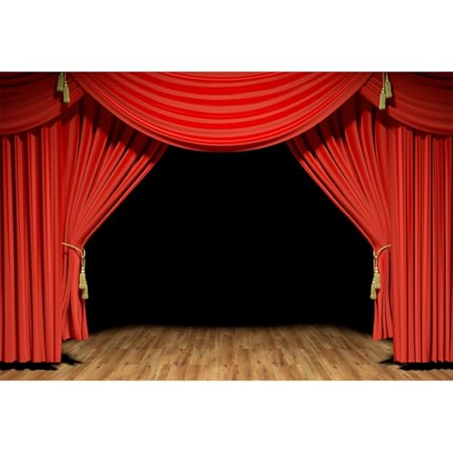 YongFoto 3x2m Vinyle Étape Toile de Fond Rideau Rouge Parquet Fond Noir pour Spectacle de théâtre pour Fête Un événement La Photographie Fond vidéo...