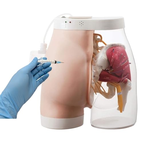 Manikin Model Teaching Model,Hip Injection Training Simulator,Hip Injection Training Model,Half-Transparent Buttock Muscle Injection Practice Model,Buttock Muscle Injection Practice Simulator