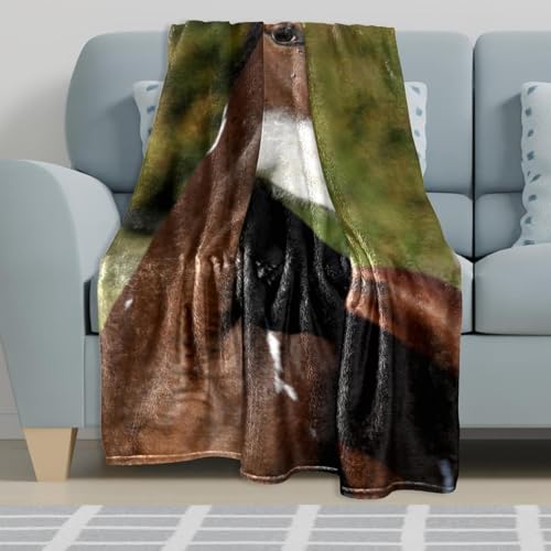 Couverture polaire cheval marron plaid canapé chaud lit chambre salon