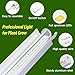 Bokeedo T5 Grow Lights for Seed Starting, 16 inches, 2-Count (10W x2) Full Spectrum LED Plant Light Bar w/Reflectors for Seedlings, 4000K White Growing Strips for Shelf/Rack